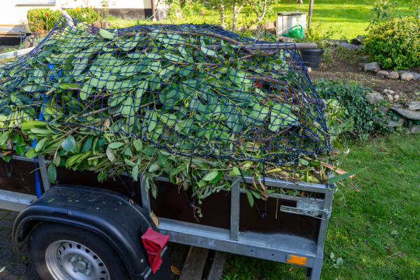 Best Carpet Removal and Disposal  in Englewood, TN